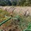 john-deere-702-image-18