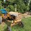 international-cub-image-1