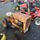 international-cub-image-2