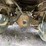 #5049-•-1980-ford-t/a-flatbed-dump-truck-(has-mi-title)-image-69