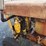 international-cub-image-12