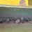 john-deere-8300-image-10