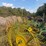 john-deere-702-image-36
