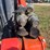 2024-kubota-svl97-2-image-72