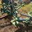 john-deere-702-image-21