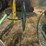 john-deere-702-image-40