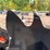 #5435-•-3/8-in.-ar500-steel-coyote-shooting-target-with-heart-flapper-image-8