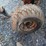 allis-chalmers-b207e-lawn-&-garden-tractor-image-11
