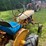 international-cub-image-6