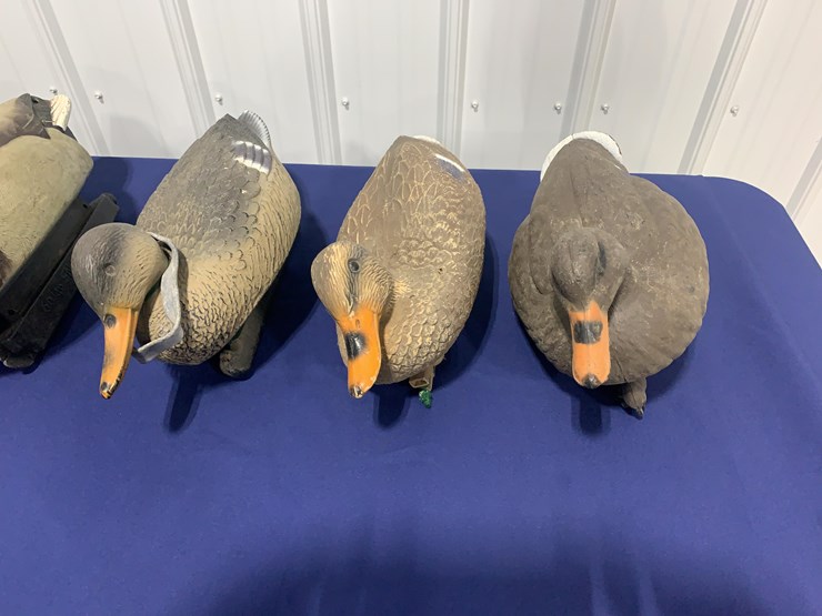 decoys-image-4