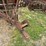 new-idea-12a-image-3