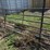 gate-image-1
