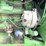 john-deere-2840-image-41