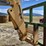 rinson-4hds-forklift-image-12