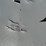 #34-•-dji-ag-drone-w/support-trailer-5habe1426mn088934-inv#20970-image-10