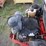 ferris/exmark-z1000-zero-turn-mower-image-15