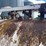 1,000-gal-nh3-tank-image-5