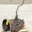 eaton-road-ranger-9-speed-truck-transmission-image-1