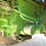 1982-john-deere-4840-image-31