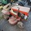 simplicity-727-lawn-mower-image-2