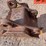 #5073-•-excavator-bucket-image-4