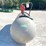1,000-gallon-steel-fuel-tank-w/-fill-rite-pump-image-2