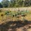 john-deere-702-image-2