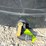 3,000-gallon-upright-poly-tank-image-5