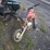 baja-motorsport-50cc-dirt-bike-image-6