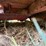 bush-hog-bh316-image-16