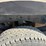 2003-ford-f250-image-20