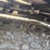 #26914-•-agt-brushcutter-skid-steer-attachment-image-9