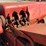 new-holland-68-image-5