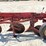 massey-ferguson-3-image-6