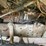 #5049-•-1980-ford-t/a-flatbed-dump-truck-(has-mi-title)-image-22