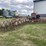 willrich-42ft-field-culitvator-image-3