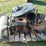 bobcat-t200-image-10