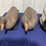 decoys-image-2