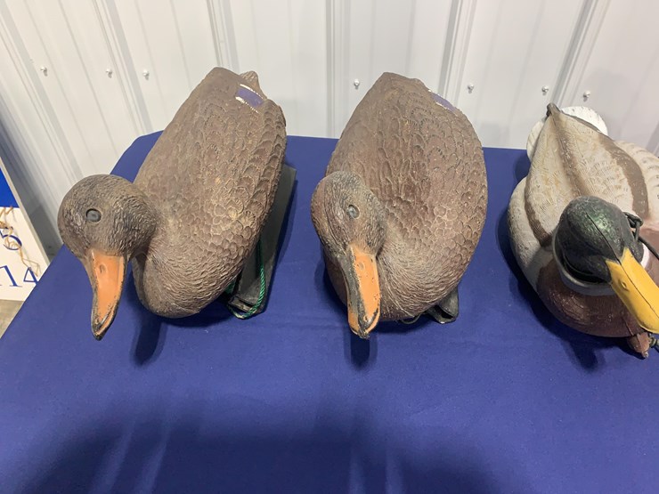 decoys-image-2