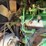 john-deere-1050-image-33