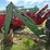 john-deere-2155-image-19