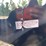 #5435-•-3/8-in.-ar500-steel-coyote-shooting-target-with-heart-flapper-image-5