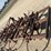 l2---3pt-oliver-chisel-plow-image-7