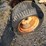 allis-chalmers-big-10-lawn-&-garden-tractor-image-9