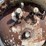 1,000-gal-nh3-tank-image-3