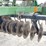 john-deere-235-image-20