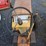 international-cub-image-15