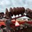 #13-•-lot-13-image-26