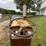 minneapolis-moline-m602-image-7