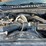 2021-ford-f450-image-8